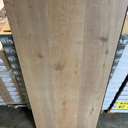 Laminaat orca beige 8mm