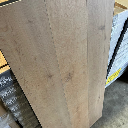 Laminaat orca beige 8mm