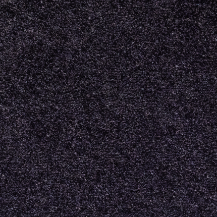 OTIUM Entreemat functioneel zwart 200 cm breed