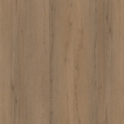 Ambiant Venera Klik Dark Oak 6312861119