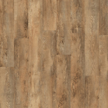 Moduleo Roots  Country Oak 54852